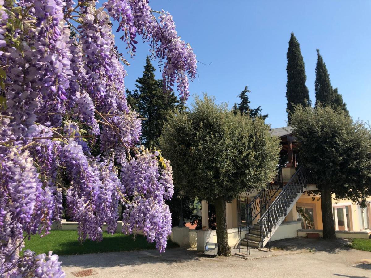 Villa Del Parco In Tuscany San Baronto Exteriör bild